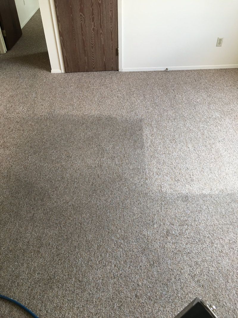Carpet Being Cleaned